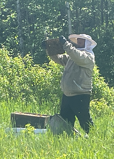 James Smith vérifiant un cadre de ruche dans un champ en équipement de protection apicole.