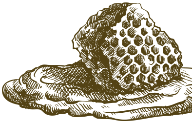 Rayon de miel doré avec alvéoles hexagonales.